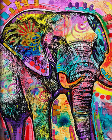Animal Lovely Graffiti Elephant Colorful