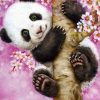 Animal Cute Panda Tree Climbing Pink And Flowers