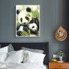 Animal Lovely Pandas And Green Bamboo