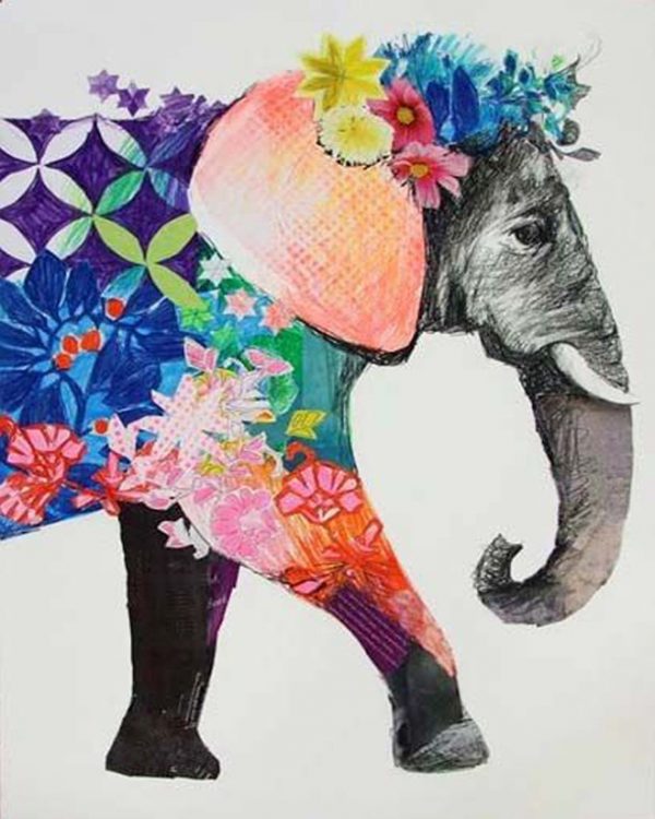 Animal Draw Clothes Elephant Lovely