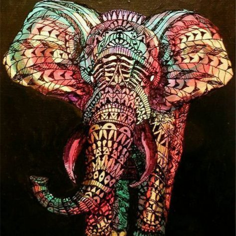 Animal Coloring Light Pretty Elephant