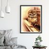 Animal Lovely Owl Standing On The Piano