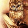 Animal Lovely Owl Standing On The Piano