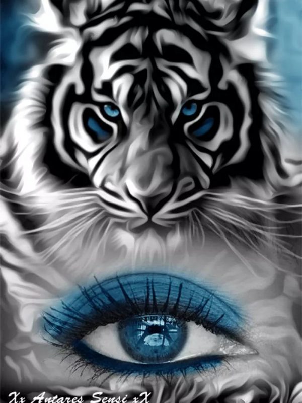 Variety Tiger And Blue Eyes Creativity