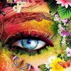 Variety Eyes In The Flowers With Butterfly For Art