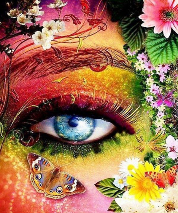 Variety Eyes In The Flowers With Butterfly For Art