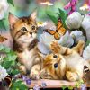 Two Cute Kittens Playing With Butterflies In The Flowers