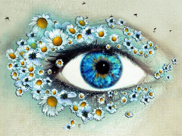 Beautiful Floral Eyeshadow For Eyes