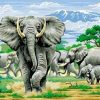 Natural Forest Elephant Ecology