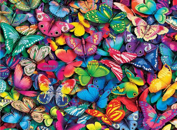 Butterflies Of Various Colors