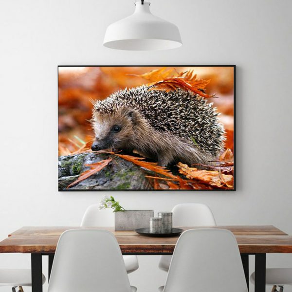 Cute Hedgehog In Autumn