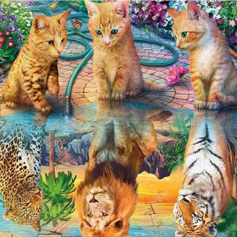Three Kittens And Three Kings Of The Forest In The Water