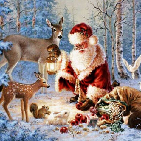 Santa Claus Shares Food With Small Animals In The Forest
