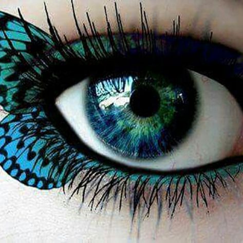 Bold Beautiful Butterfly Eyeshadow