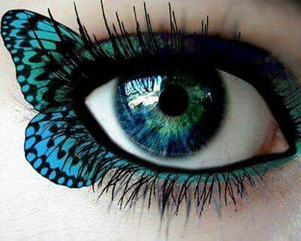 Bold Beautiful Butterfly Eyeshadow