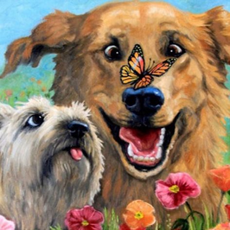 Happy Dog Playing With Butterflies