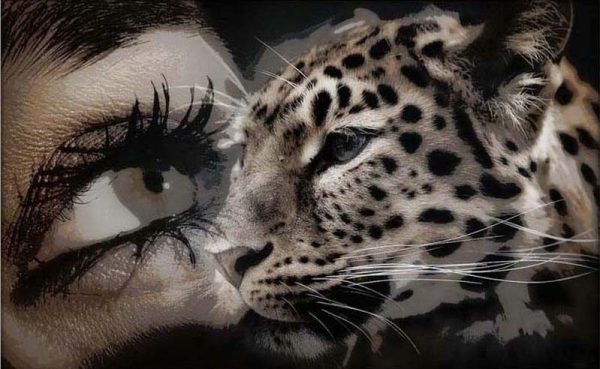 Creative Human Eyes And Leopard