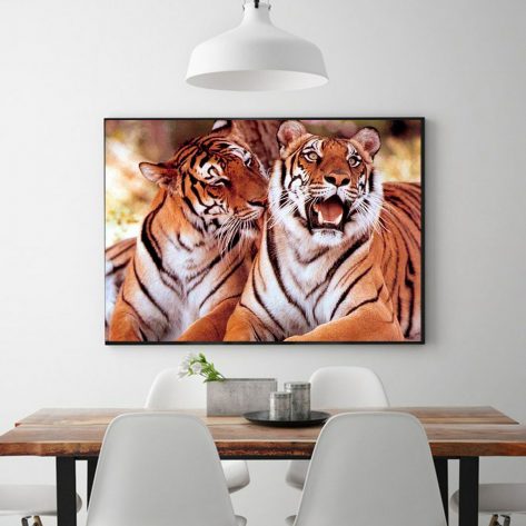 Two Tigers In Love