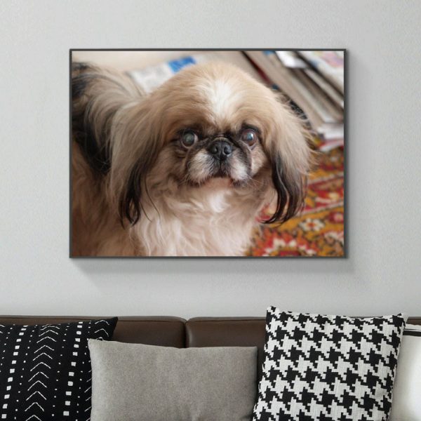 Cute Pet Dog Cute Diamond Painting