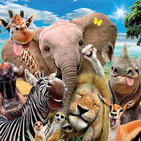 Large Collection Of Various Animals