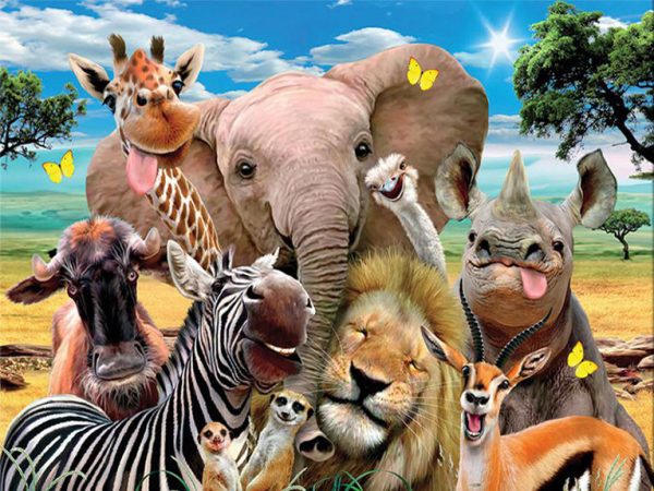 Large Collection Of Various Animals