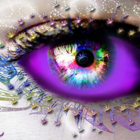 Charm Purple Eyes