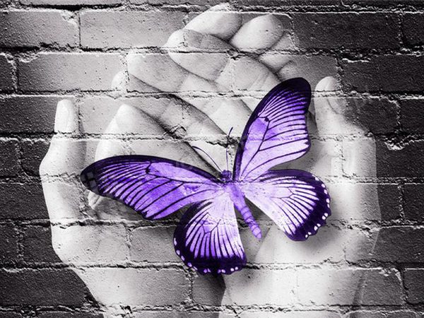 Purple Butterfly On Hand On Gray Wall