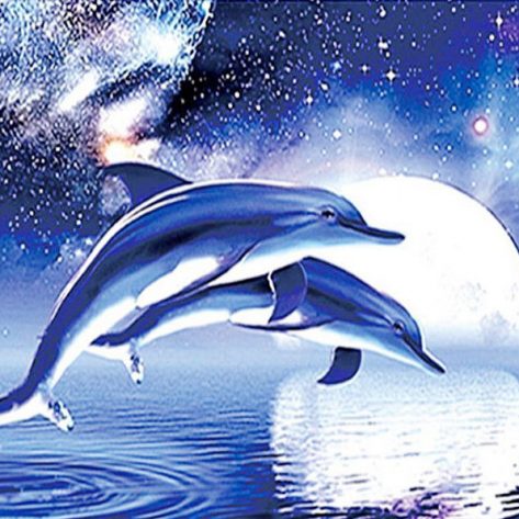 5d Diamond Painted Dolphin